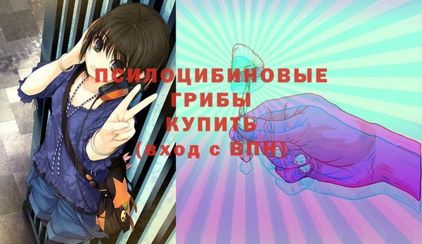 гидра Сосновоборск